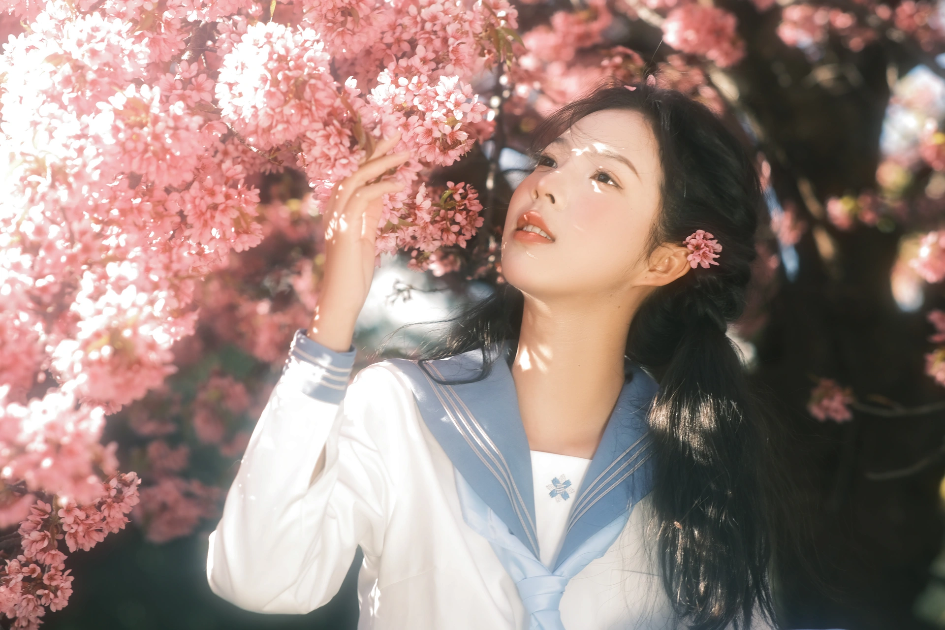 [YITUYU艺图语]2025.02.15 幸得樱花三月雨 乐意李 2