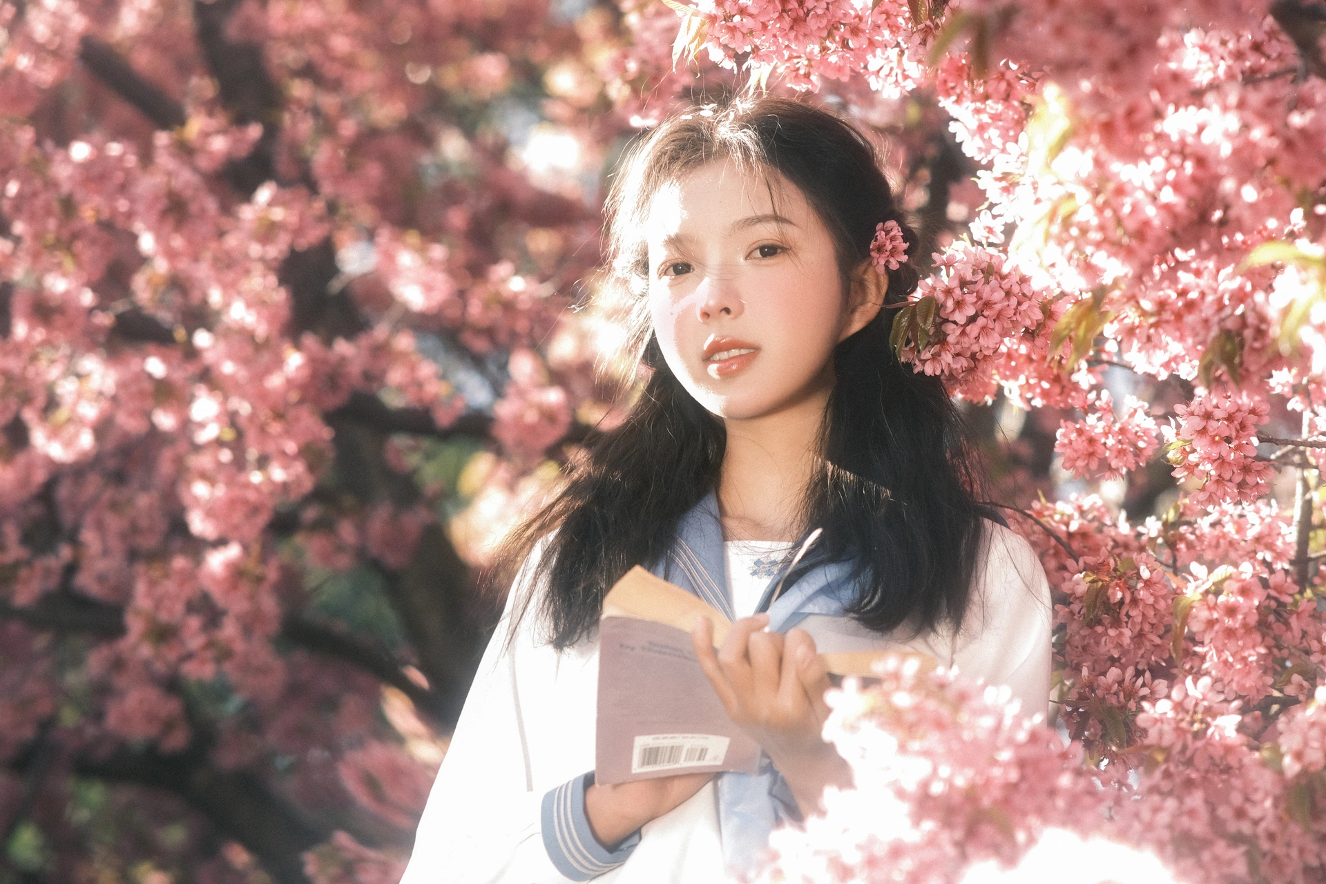 [YITUYU艺图语]2025.02.15 幸得樱花三月雨 乐意李 3